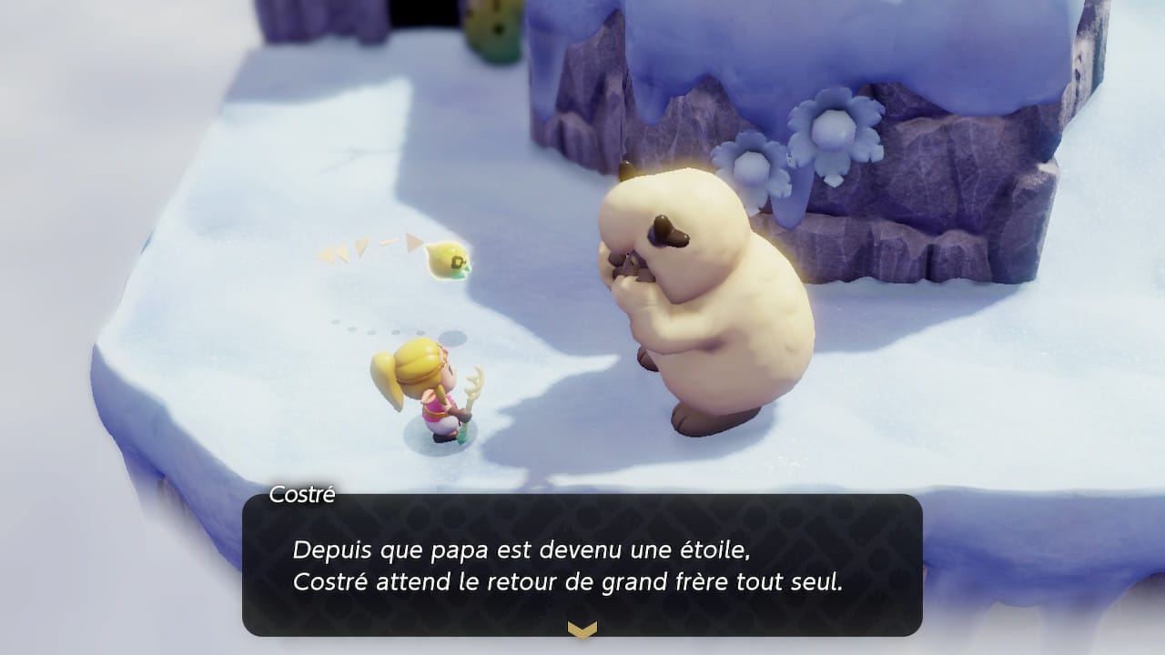 Image du jeu The Legend of Zelda: Echoes of Wisdom