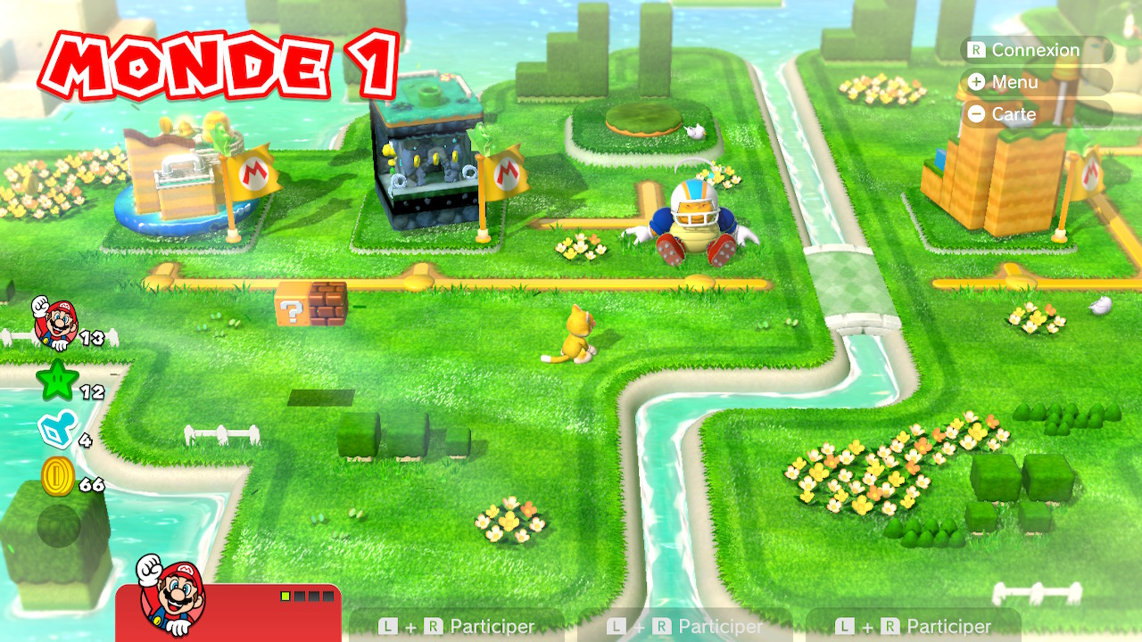 Image du jeu Super Mario 3D World 